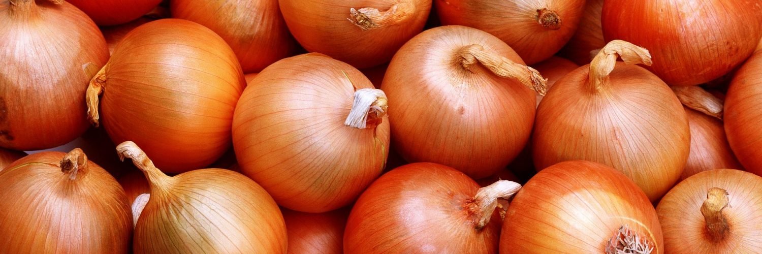 HD vegetable onion wallpapers | Peakpx